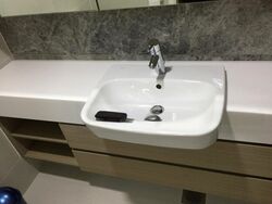 The Lakefront Residences (D22), Condominium #435233131